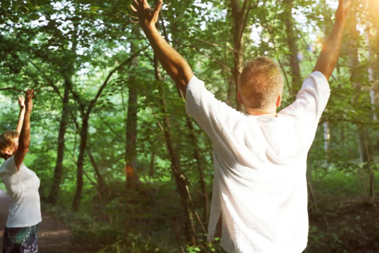 Forest bathing (Shinrin yoku), nature therapy
